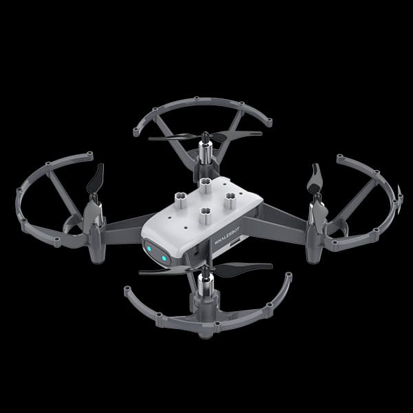 WhalesBot Eagle 1