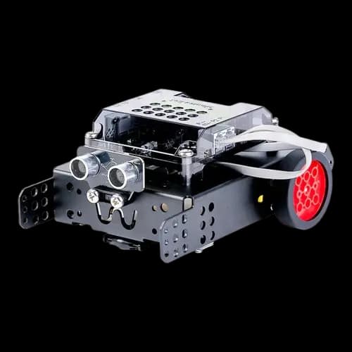 WhalesBot Rocky